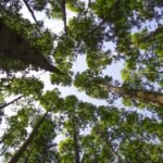 104186518_1604747299675969_4440668787403616418_n