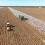 104816690_1609536609197038_8712756498825055087_n