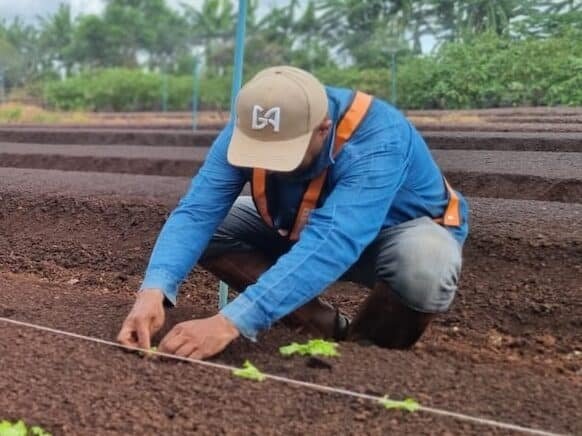 PROJETO CICLO COMPOSTO - DA TERRA PARA A TERRA